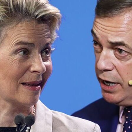 Liberté de mouvement? Les restes se moquent de l'indignation du Brexiteer face à «seulement» 6 £ de taxe de vengeance de l'UE