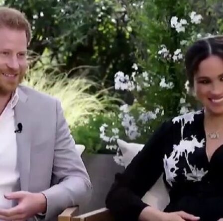 L'image du prince Harry et de Meghan Markle d'un couple «amusant et normal» ne parvient pas à se faire comprendre
