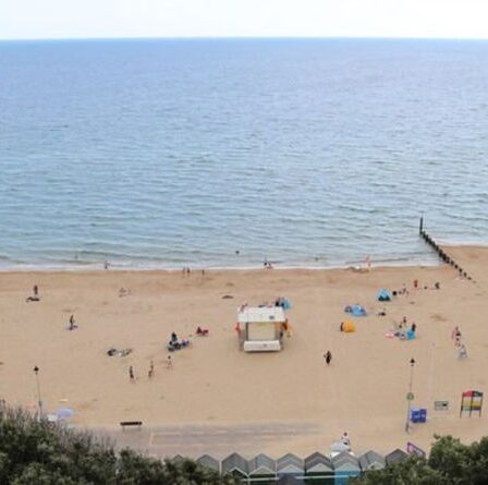 L'observation d'un requin sur la plage animée de Bournemouth suscite la panique alors que les nageurs ont dit "sortez de l'eau!"