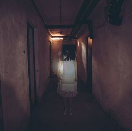 L'obsession de ce couple Ghostbusters leur a donné le job de leurs rêves... Chasse aux fantômes