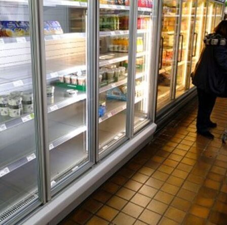 "Loony Remainers" honteux d'avoir blâmé le Brexit pour les étagères vides au milieu de l'hystérie de la pénurie alimentaire