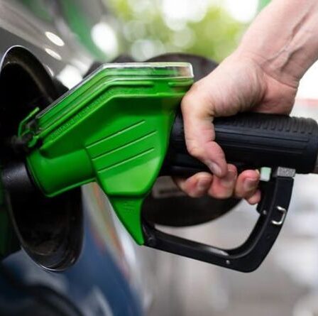 Ma voiture est-elle compatible avec le carburant E10 ? Comment vérifier en tant que JOURS restants avant le changement