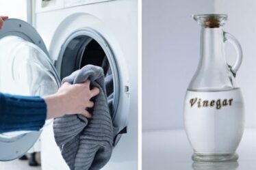 'Meilleure chose!'  Les fans de Mme Hinch partagent une astuce «incroyable» pour nettoyer la machine à laver et bannir les odeurs