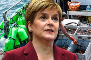 Monte, Nicola !  Indignation alors que le SNP de Sturgeon exhorté à interdire la méthode de pêche «destructrice»