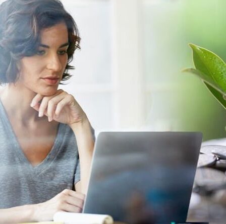 NS&I explique où va l'argent que vous investissez dans la mise à jour des obligations d'épargne vertes