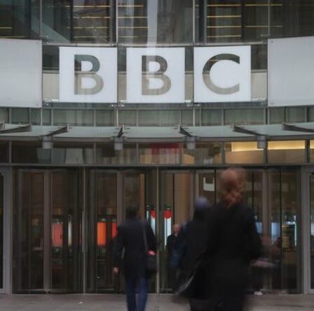 « N'a pas de rôle ! »  Rupert Lowe entame le discours sur les droits de licence de la BBC - 'Malign'