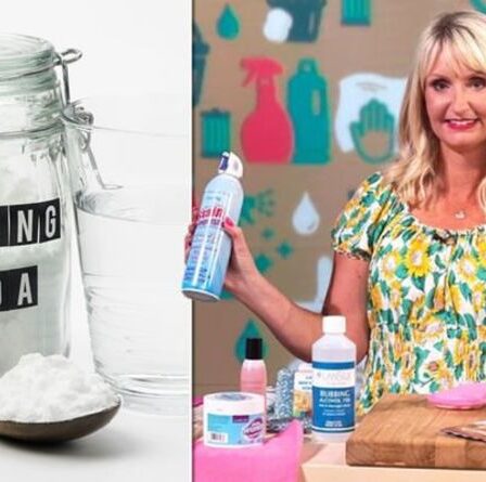 Nettoyage: Lynsey Crombie dit d'utiliser du bicarbonate de soude pour laver vos vêtements - "vraiment polyvalent"