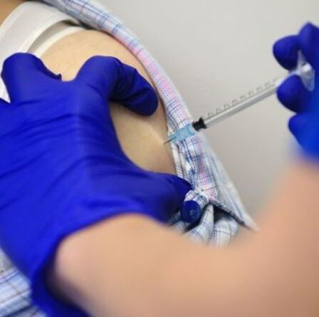 « Niveau inférieur d'immunité de la population » Des experts avertissent que Covid pourrait étouffer les vaccins contre la grippe cet hiver