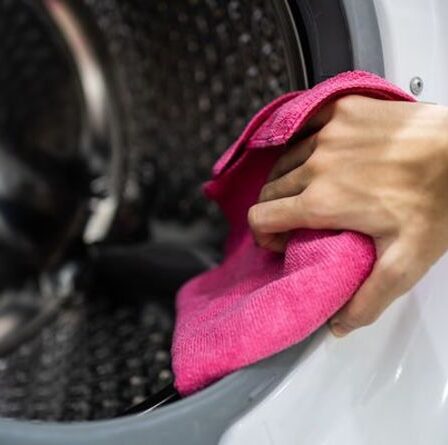 « N'utilisez pas de liquide ! »  Les fans de Mme Hinch partagent un hack pour empêcher les joints des machines à laver de noircir