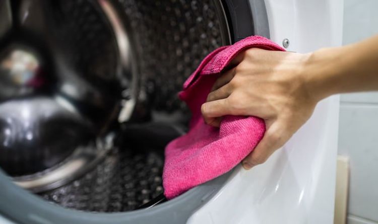 « N'utilisez pas de liquide ! »  Les fans de Mme Hinch partagent un hack pour empêcher les joints des machines à laver de noircir