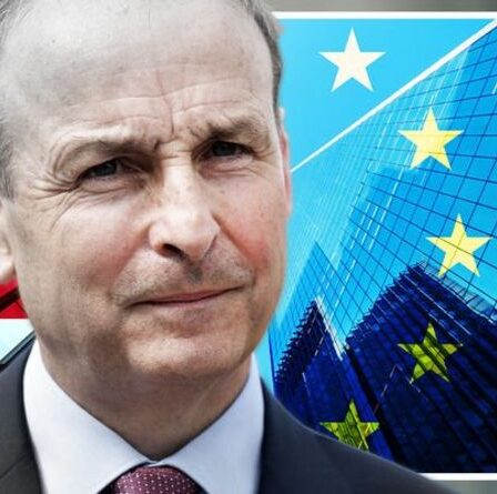 On vous avait prévenu !  Les entreprises irlandaises subissent le "double coup dur" de la bureaucratie européenne