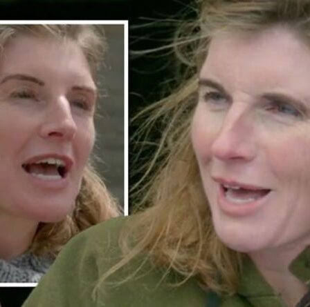 Our Yorkshire Farm: la «bataille» d'Amanda Owen à Ravenseat abordée par la co-star de Channel 5