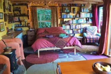 Paradis des rats de bibliothèque : séjournez dans un coin écologique de Norfolk dans un verger privé