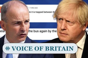 « Pas de sympathie ! »  Les Britanniques s'en prennent à "l'Irlande jetée sous un bus par l'UE" après une dispute administrative au Royaume-Uni