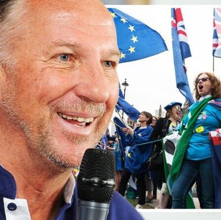 Passez!  Les restes «amers» ont dit d'oublier la tension du Brexit après les attaques hystériques de Botham