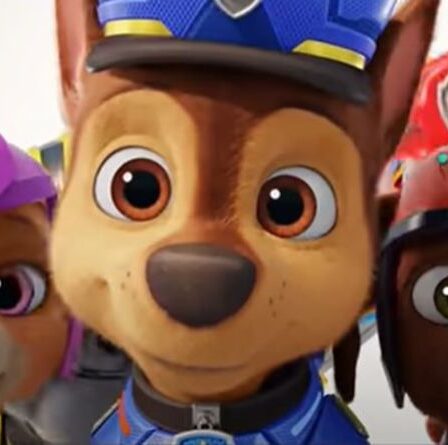 Paw Patrol, le prochain à annuler la liste de la foule pour "endoctrinement d'enfants dans une position pro-police"