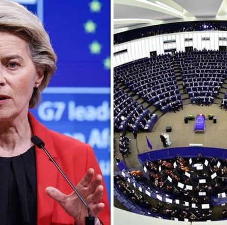 Peintre snobé par l'UE pour la collection d'art du Parlement : « Aucune valeur symbolique pour l'intégration !