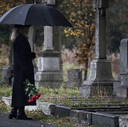 Pension d'État: «choc financier» car les veuves pourraient recevoir un paiement «très limité»