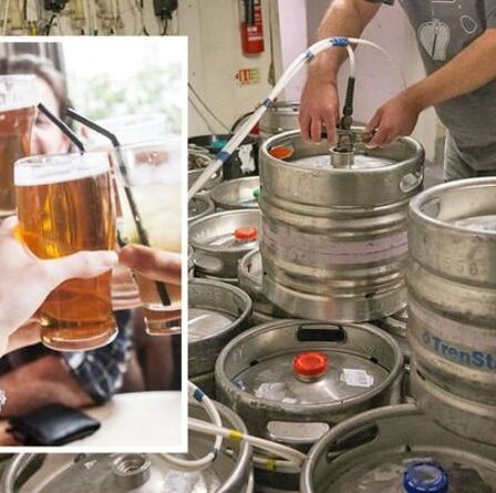 Pénurie de bière pour les jours fériés: les Britanniques paniquent alors que la grève laisse l'offre désespérément faible