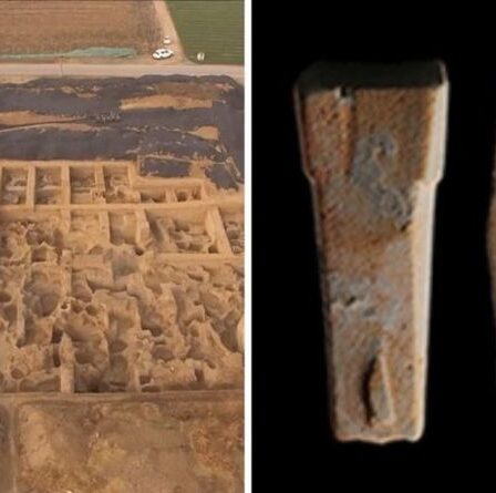 Percée archéologique : des chercheurs ont déterré la « plus vieille pièce du monde » lors de fouilles en Chine