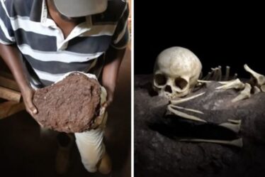 Percée archéologique: des chercheurs ont mis au jour la plus ancienne sépulture humaine africaine « spectaculaire »