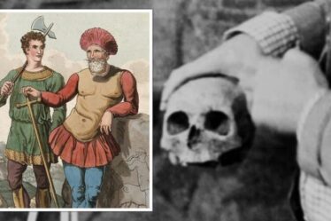 Percée de l'archéologie après que le récit de l'enterrement de l'ancien roi viking a "tourné la tête"