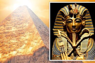 Percée en Égypte : des preuves de la « malédiction » trouvées dans un compte « oublié » antérieur à Toutankhamon
