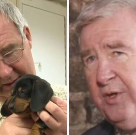 Peter Wright du Yorkshire Vet admet sa réticence à participer à l'émission de Channel 5