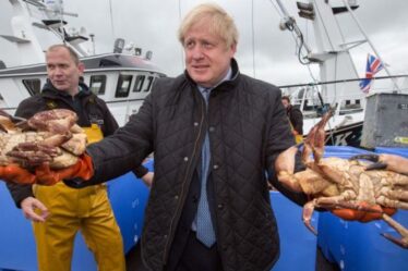 Peut être fier !  Les exportations de saumon explosent dans la "victoire du Brexit Grande-Bretagne" après la scission de l'UE