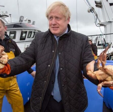 Peut être fier !  Les exportations de saumon explosent dans la "victoire du Brexit Grande-Bretagne" après la scission de l'UE