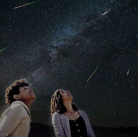 Pluie de météores des Perséides EN DIRECT : où et quand regarder un spectacle de lumière époustouflant CE SOIR