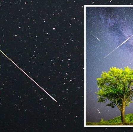 Pluie de météores des Perséides : gardez les yeux ouverts pour des traînées de lumière très « étranges » ce soir