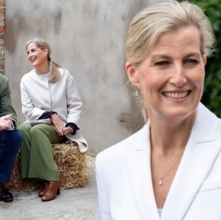 "Plutôt timide": le prince Edward "heureux" que sa femme Sophie Wessex prenne les devants en public