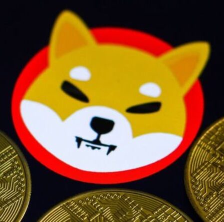 Prévision de prix Shiba Inu: Shiba Inu pourrait chuter FORT malgré le mouvement de Coinbase