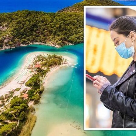 Quand est la prochaine mise à jour de voyage?  Les cinq pays qui pourraient passer au vert en quelques heures