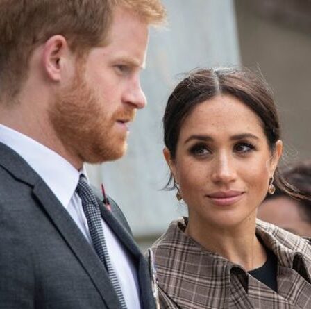 « Que savent-ils !  Le nouveau plan de livre de Meghan Markle et Harry surnommé «un non-sens prétentieux»