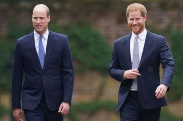 Querelle royale: le «ressentiment» du prince William se dissipe alors que «la porte reste ouverte» au prince Harry