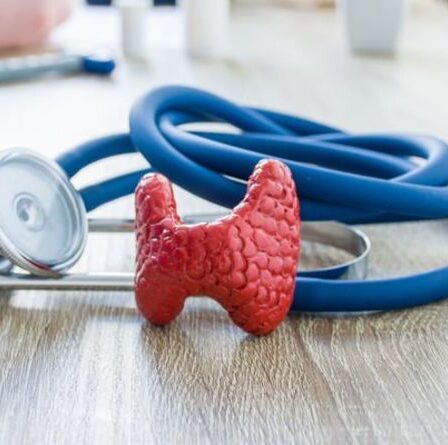 Qu'est-ce que la maladie de Graves ?  Symptômes de l'état derrière l'hyperthyroïdie