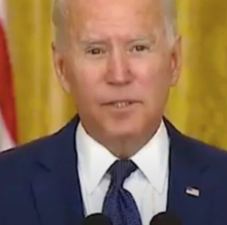 « Qui appelle les coups de feu ? » Biden lève les sourcils alors qu'il dit qu'il a été « chargé » d'appeler un journaliste