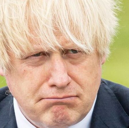 Qui pourrait être le prochain Premier ministre ?  Les derniers sondages vous surprendront