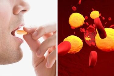Remède contre l'hypercholestérolémie : six des meilleurs suppléments pour réduire le cholestérol