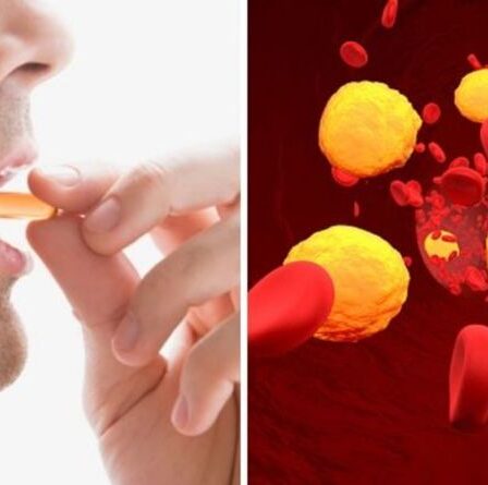Remède contre l'hypercholestérolémie : six des meilleurs suppléments pour réduire le cholestérol