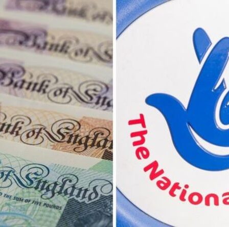 Résultats de la loterie EN DIRECT : Quels sont les numéros gagnants du tirage du Loto du samedi 14 août ?