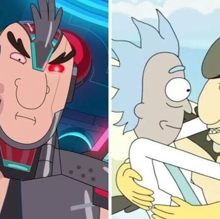 Rick et Morty saison 5 : Les origines de Rick et Birdperson révélées dans des indices froids et ouverts