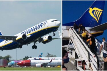 Ryanair : comment s'assurer de ne pas avoir de « fausse » carte d'embarquement - la compagnie aérienne met en garde les passagers