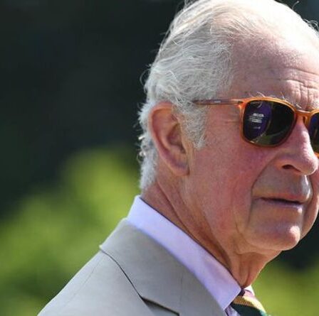 Santé du prince Charles: l'héritier admet avoir mal au dos "Je donnerais n'importe quoi pour avoir plus de mains"