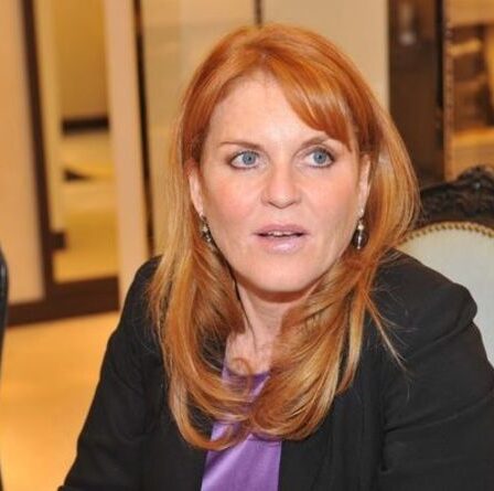 Sarah Ferguson devrait assumer certains des parrainages de Harry et Meghan