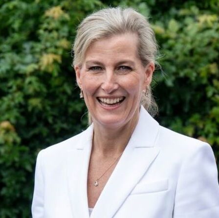 Sophie Wessex a qualifié la "superstar" de la marque jouant un rôle royal crucial: "N'a pas besoin d'agitation!"