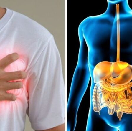 Symptômes de digestion inefficace des graisses : les 7 signes que VOUS ne digérez pas correctement les graisses