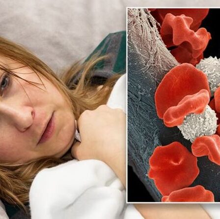 Symptômes du cancer du sang : le signe lorsque vous dormez qui pourrait signaler la maladie mortelle